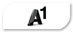 A1